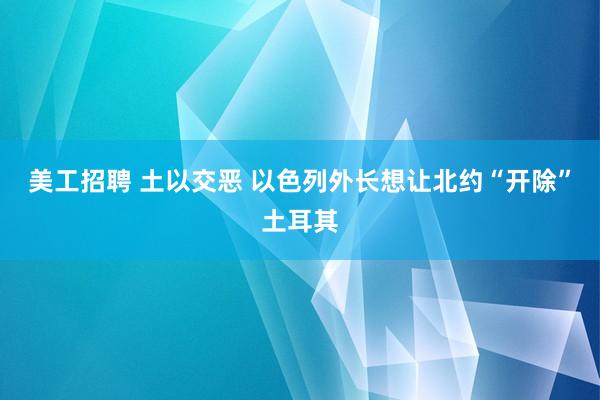 美工招聘 土以交恶 以色列外长想让北约“开除”土耳其