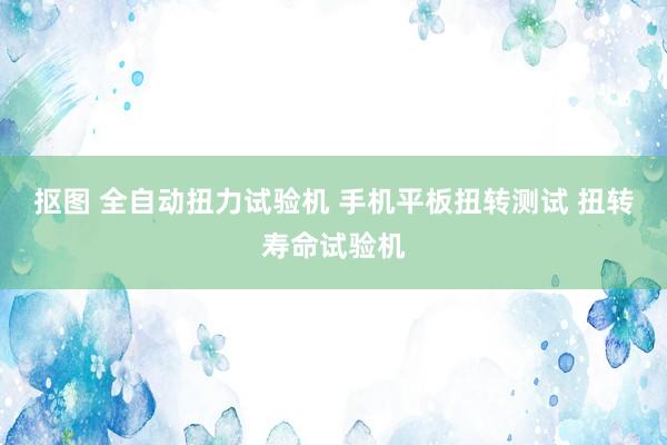 抠图 全自动扭力试验机 手机平板扭转测试 扭转寿命试验机