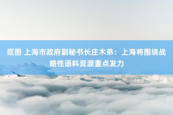 抠图 上海市政府副秘书长庄木弟：上海将围绕战略性语料资源重点发力