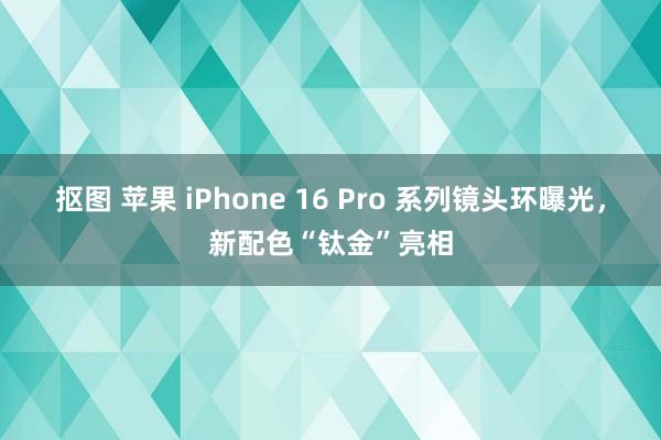 抠图 苹果 iPhone 16 Pro 系列镜头环曝光，新配色“钛金”亮相